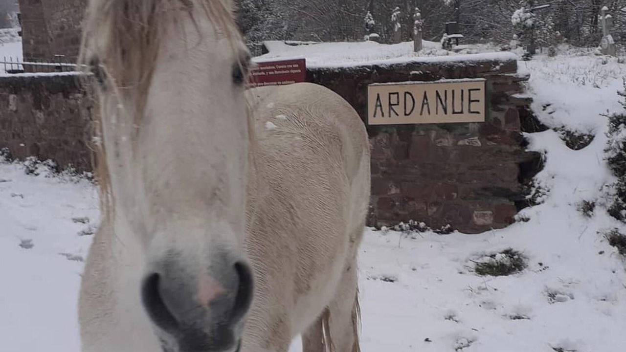 Photo of Outdoor in Ardanue
