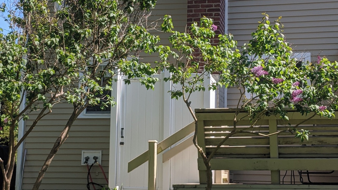 Photo of Outdoor in Niantic