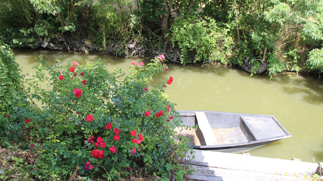 Photo of Others in Saint-Hilaire-la-Palud