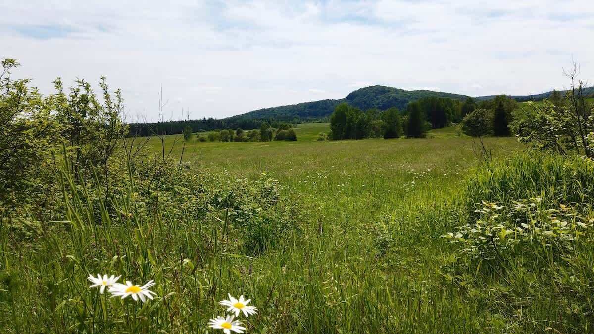 Photo of Outdoor in Saint-Leonard-de-Portneuf