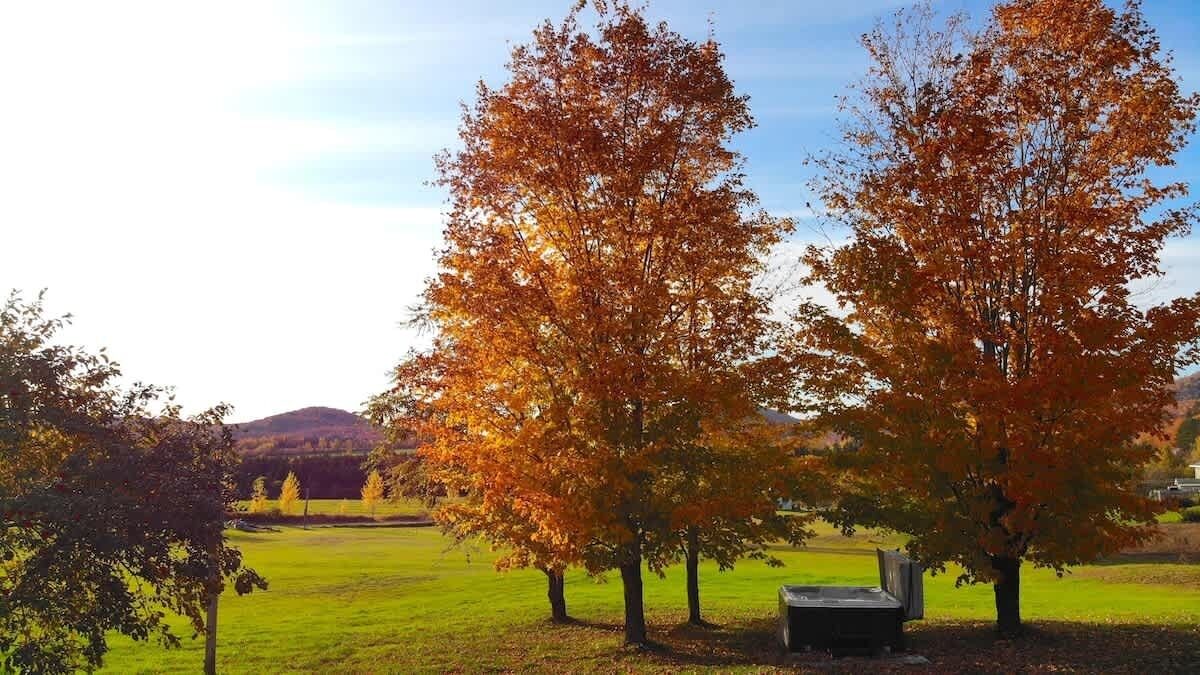 Photo of Outdoor in Saint-Leonard-de-Portneuf