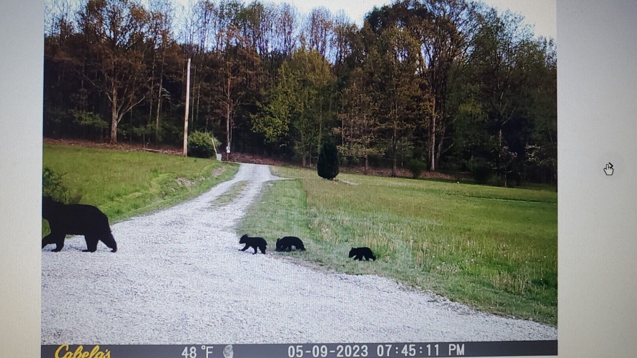 Photo of Others in Towanda