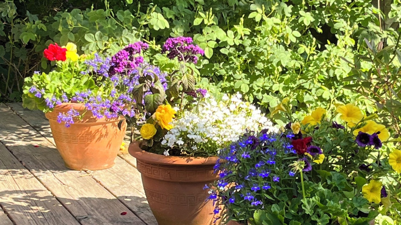 Photo of Outdoor in Lunenburg County