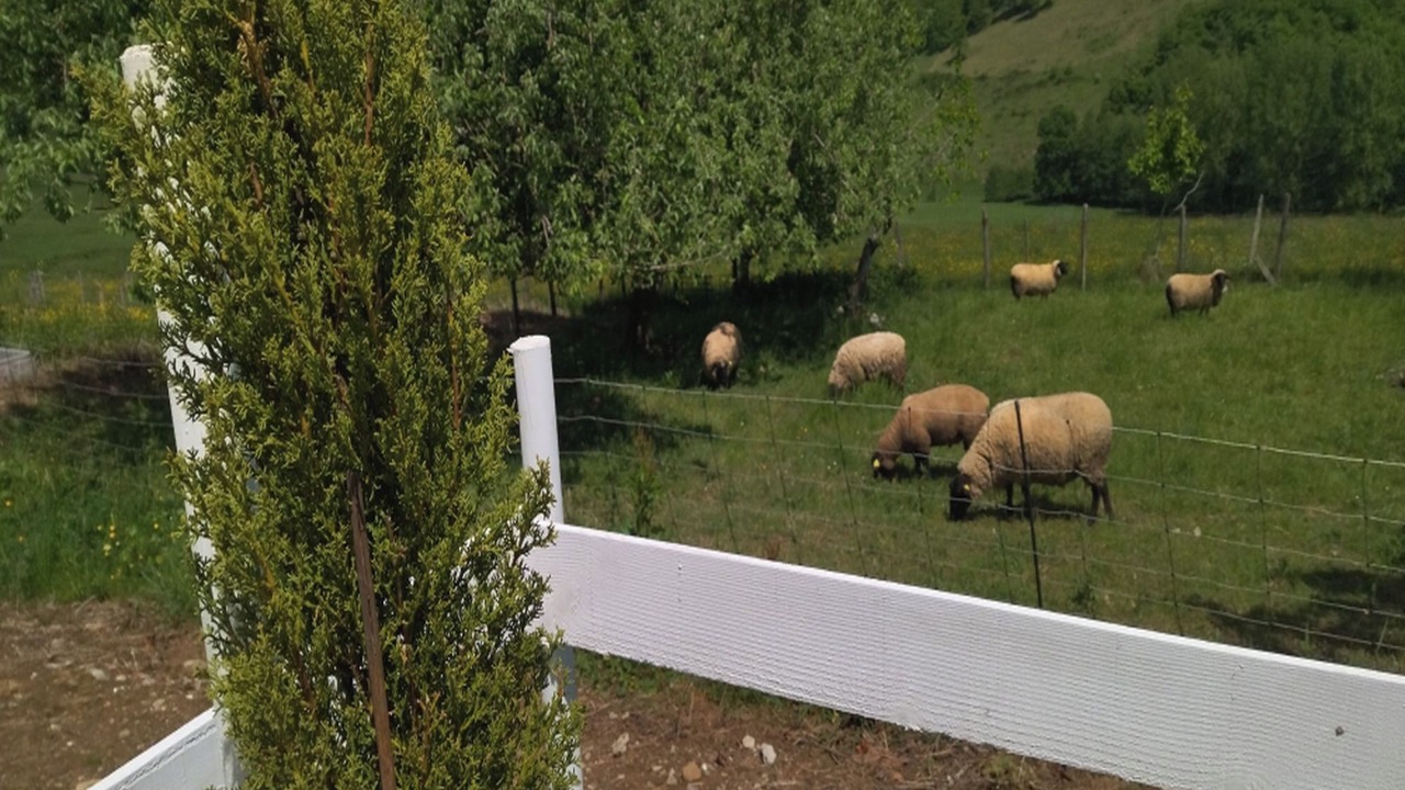 Photo of Others in Saint-Girons