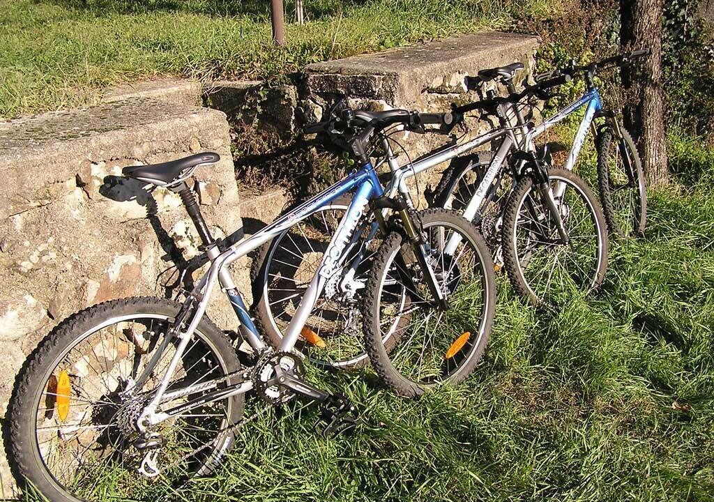 Photo of Outdoor in Le Martinet