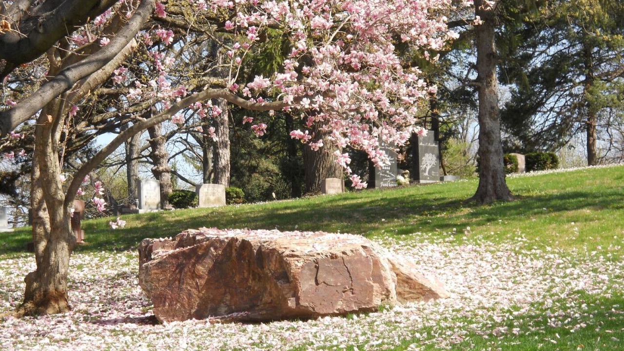 Photo of Others in Oregon District