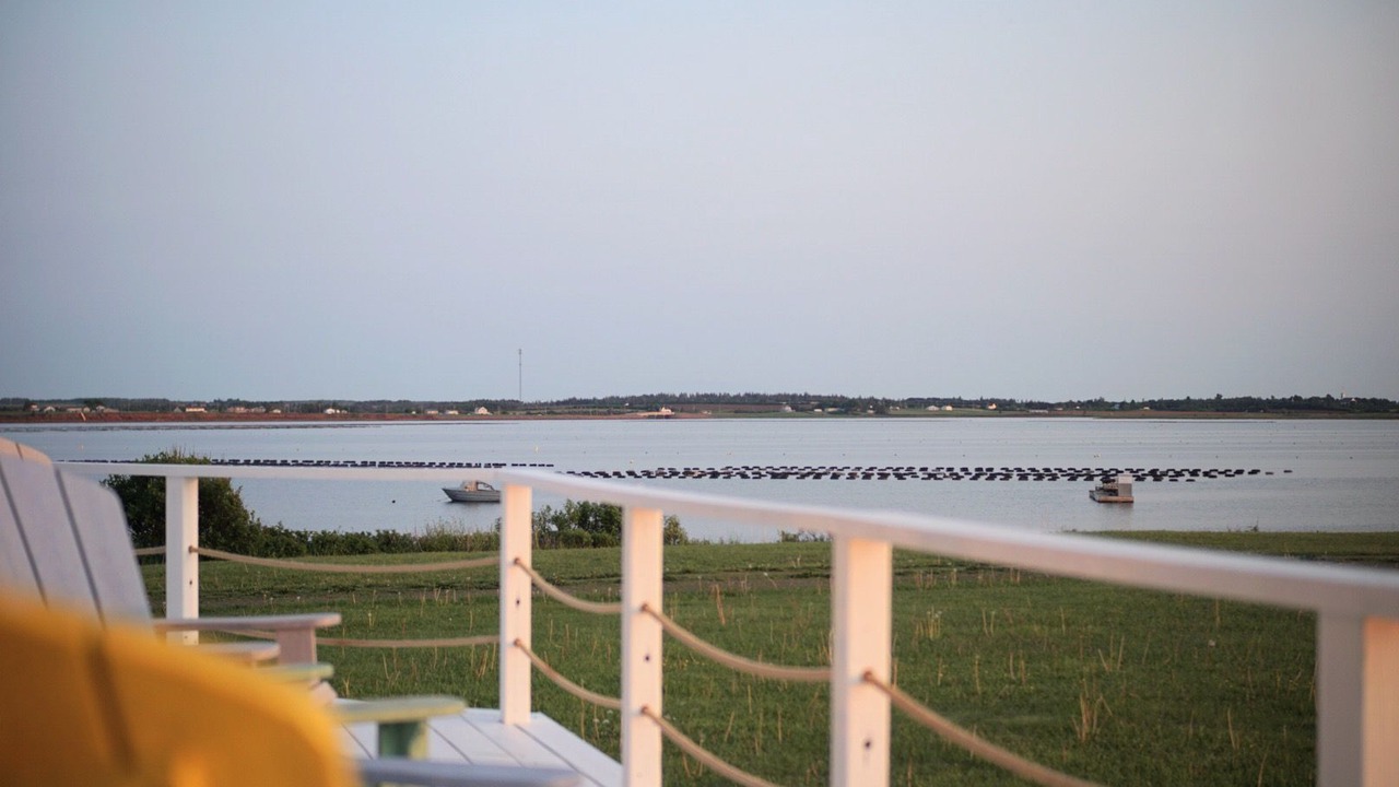 Photo of Others in Darnley