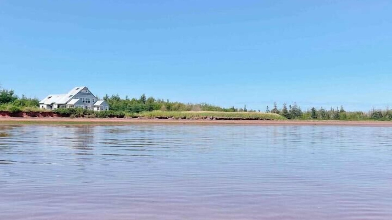 Photo of Others in Malpeque