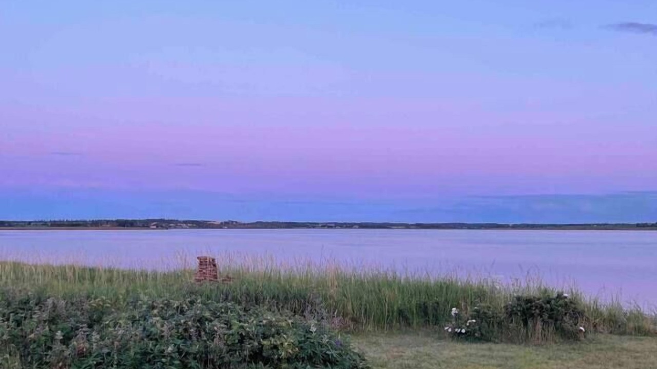 Photo of Others in Malpeque