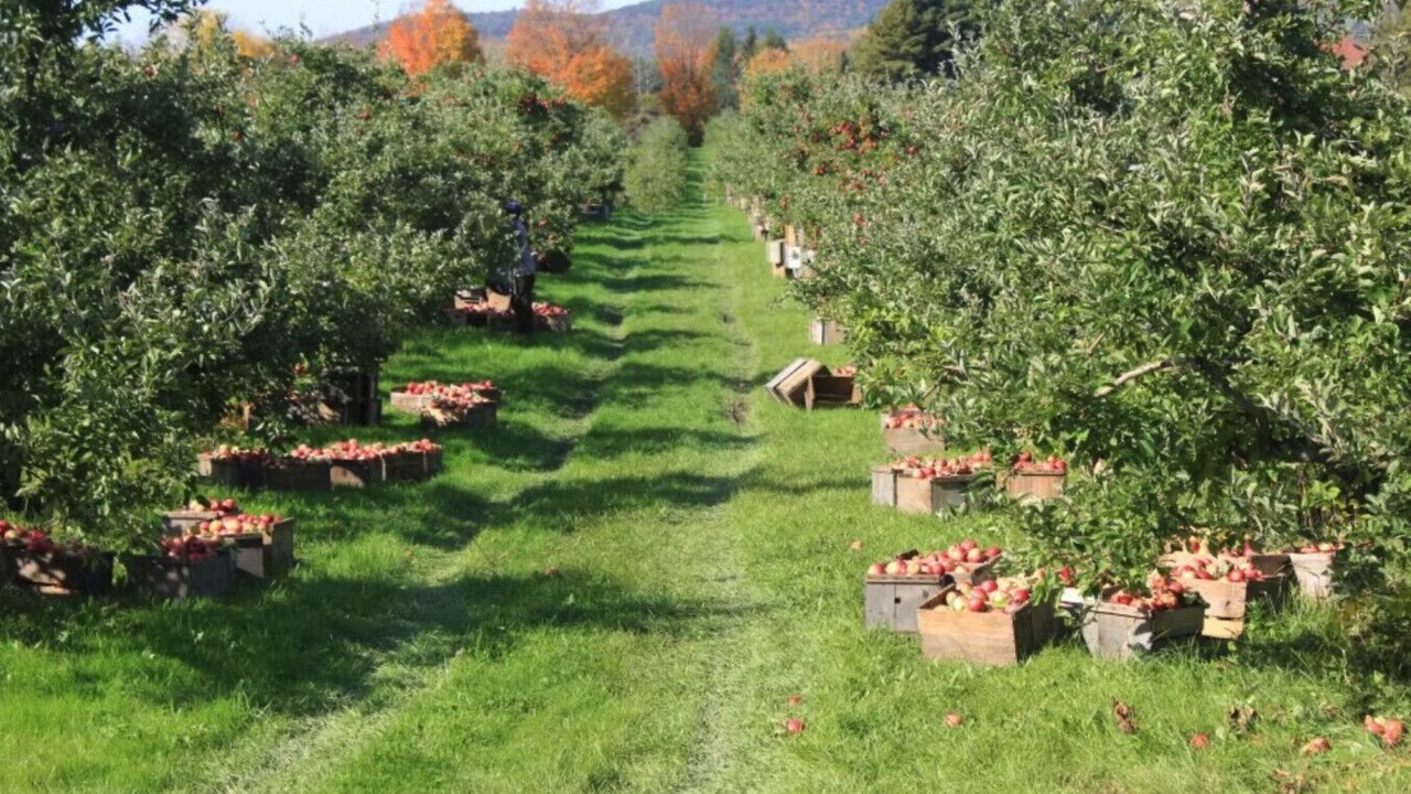 Photo of Others in Lenox Dale