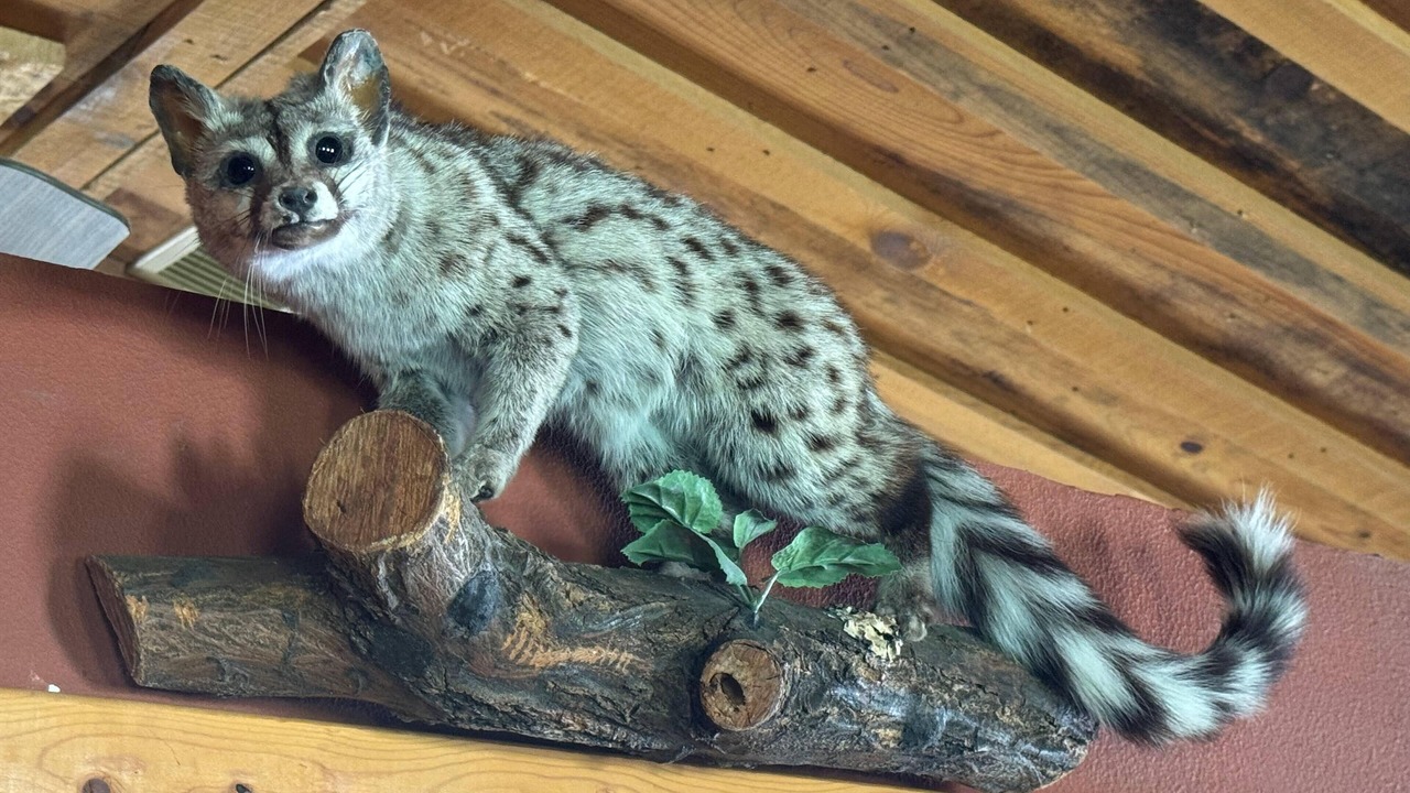 Photo of Others in Reserve