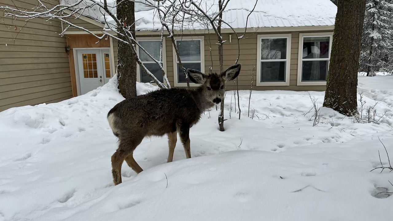 Photo of Outdoor in McCall