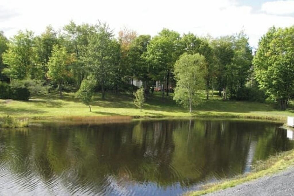 Photo of Others in Lac-Etchemin
