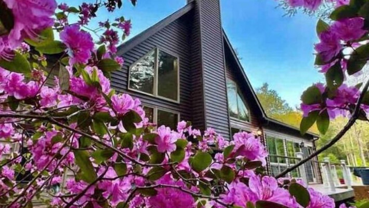 Photo of Outdoor in Parksville
