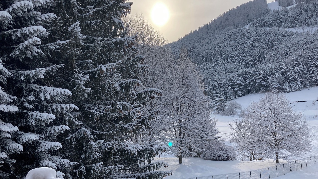 Photo of Outdoor in Saint-Dalmas