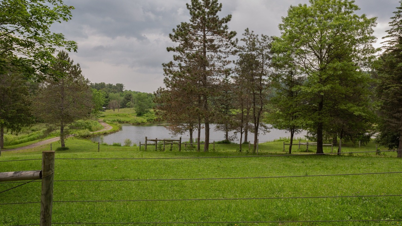 Photo of Others in Fly Creek