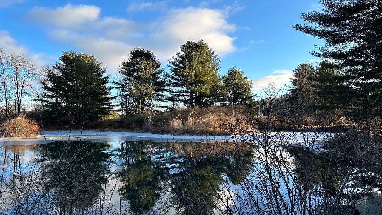 Photo of Others in Fly Creek