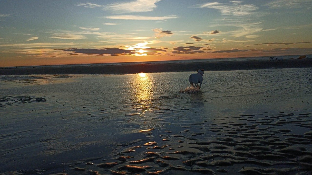 Photo of Others in Bray-Dunes