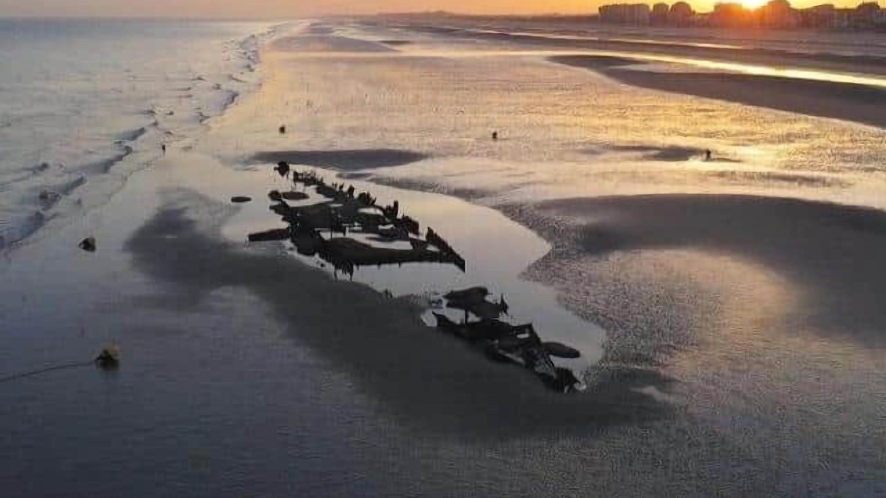 Photo of Others in Bray-Dunes