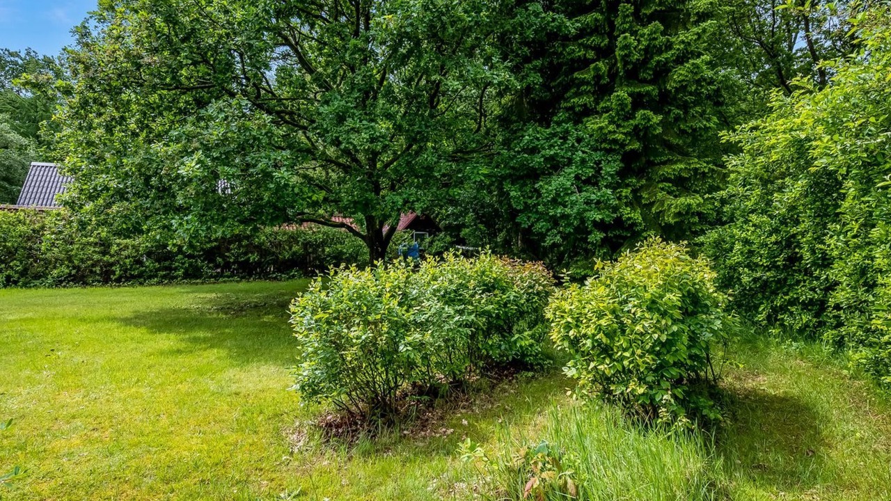 Photo of Others in Skygge