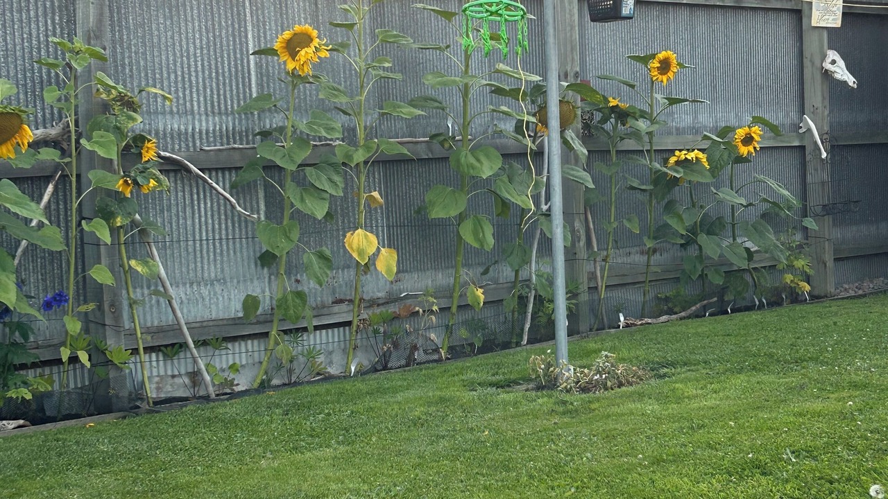 Photo of Outdoor in Kaiapoi