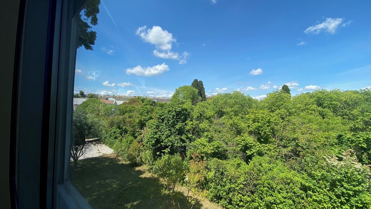 Photo of Others in Castries