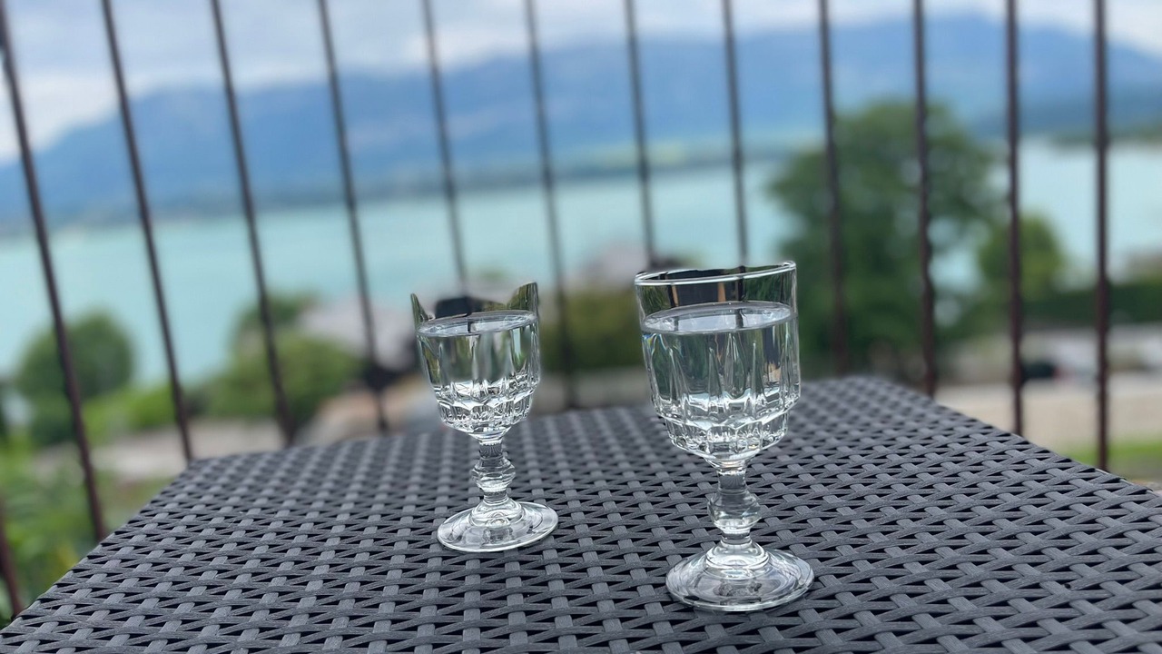 Photo of Others in Le Bourget-du-Lac