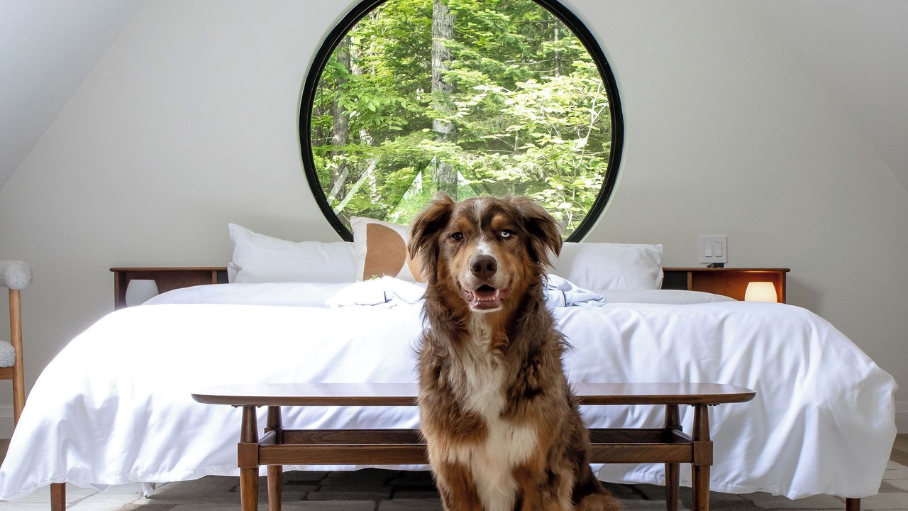 Photo of Bedroom in Highlands East
