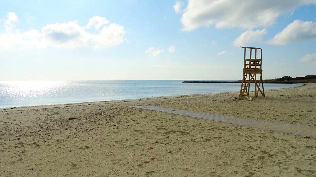 Photo of Others in Northwest Harwich