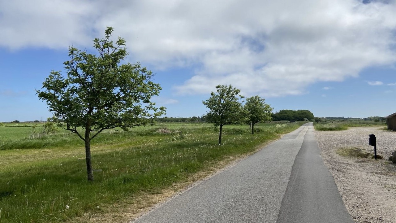 Photo of Outdoor in Skaerbaek
