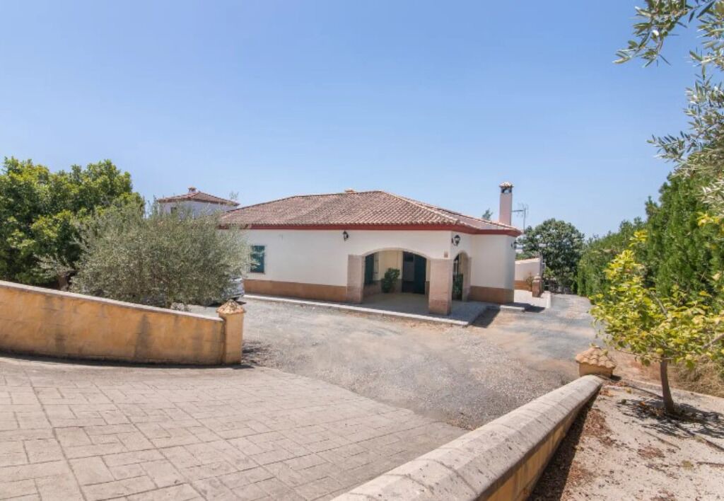 Photo of Outdoor in Cantillana