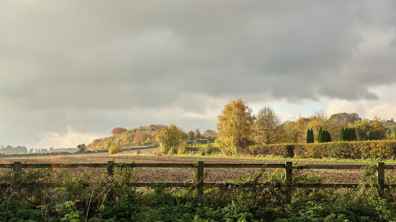 Photo of Others in Lower Froyle