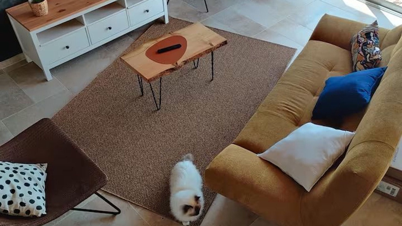 Photo of Livingroom in Villaines-sous-Malicorne