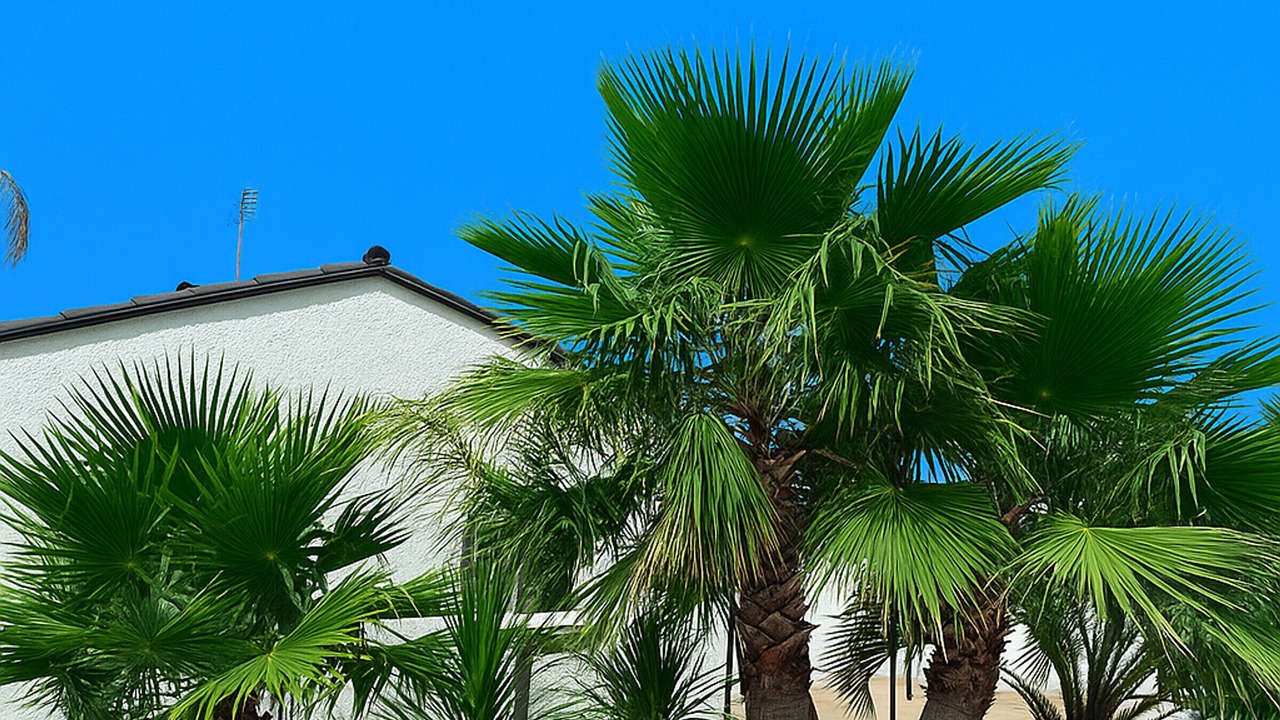 Photo of Outdoor in Elne