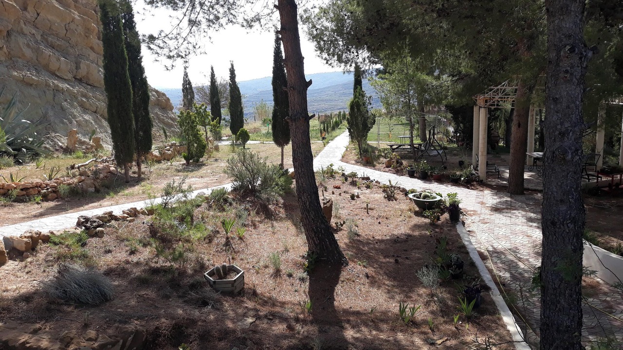 Photo of Outdoor in Chulilla