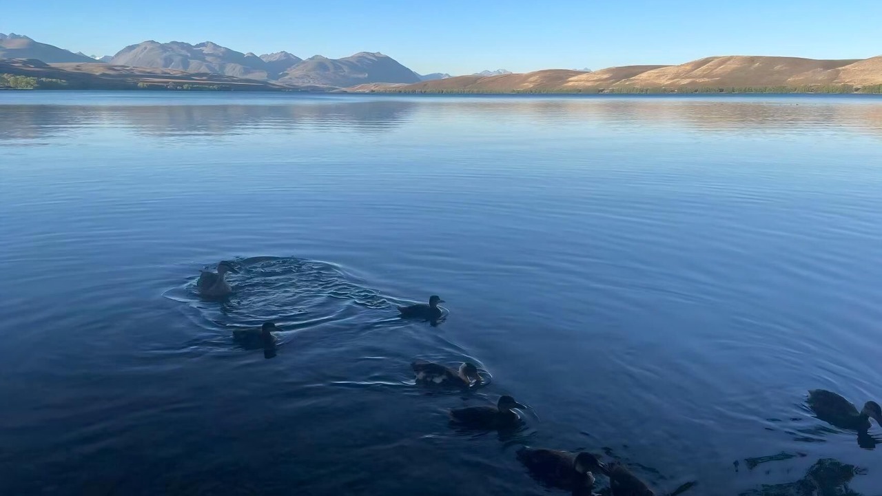 Photo of Others in Kawaha Point