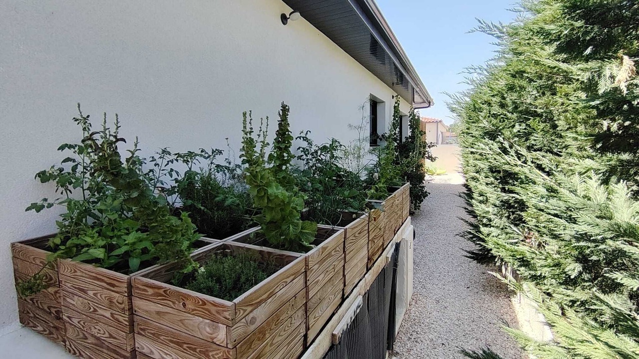 Photo of Outdoor in Thuir
