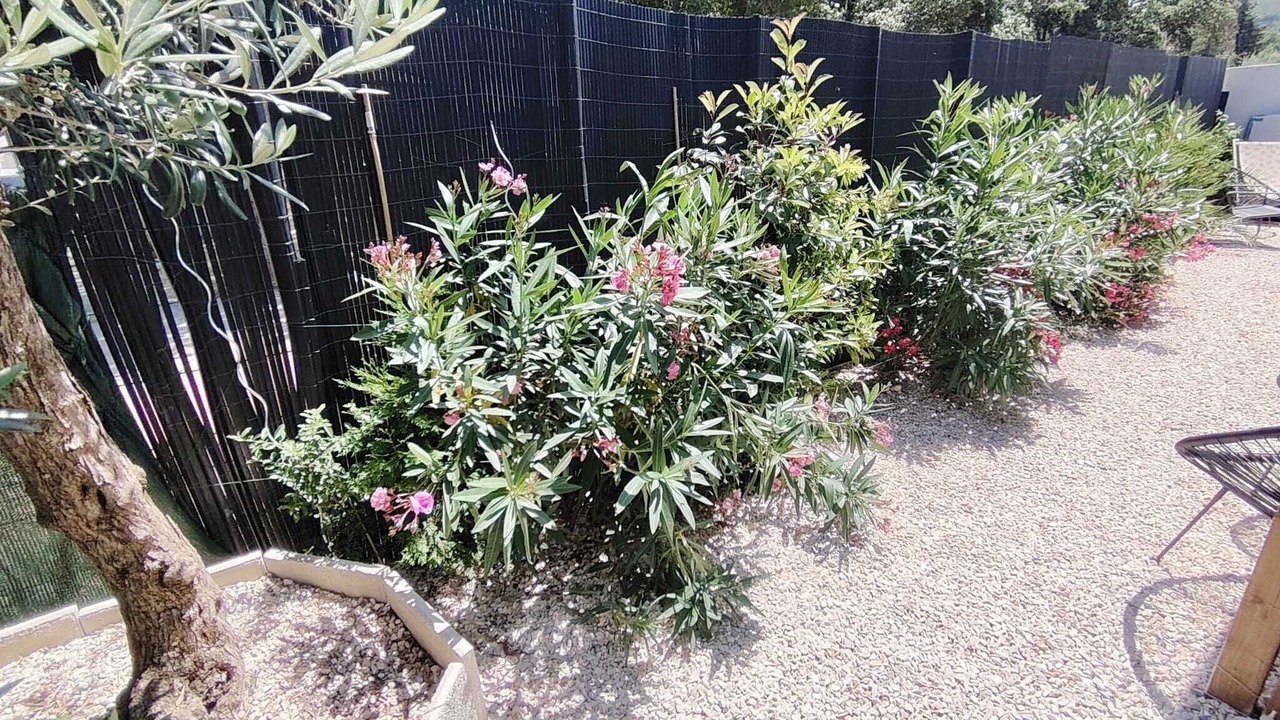 Photo of Outdoor in Thuir