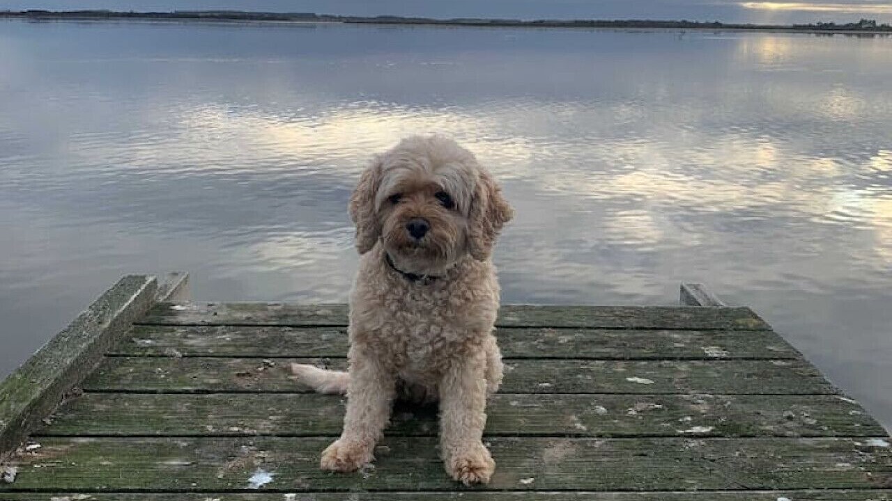 Photo of Others in Nangkita