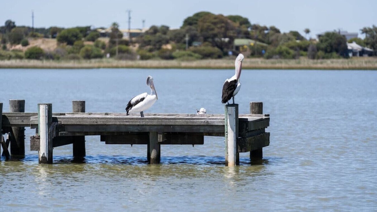 Photo of Others in Goolwa South