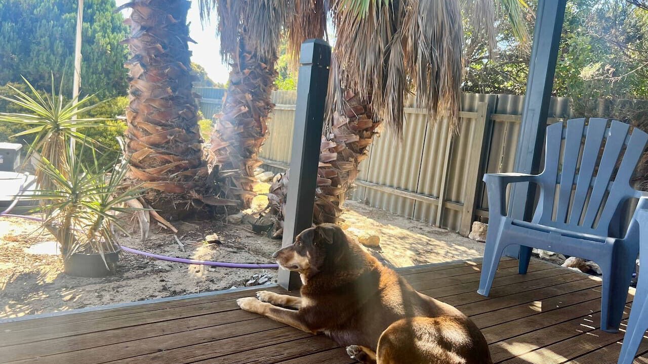 Photo of Patio Balcony in Goolwa South