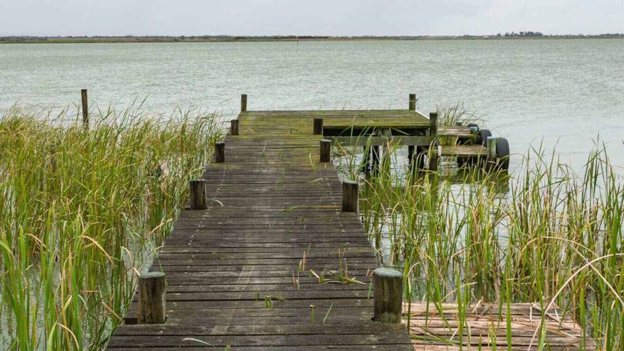 Photo of Others in Nangkita