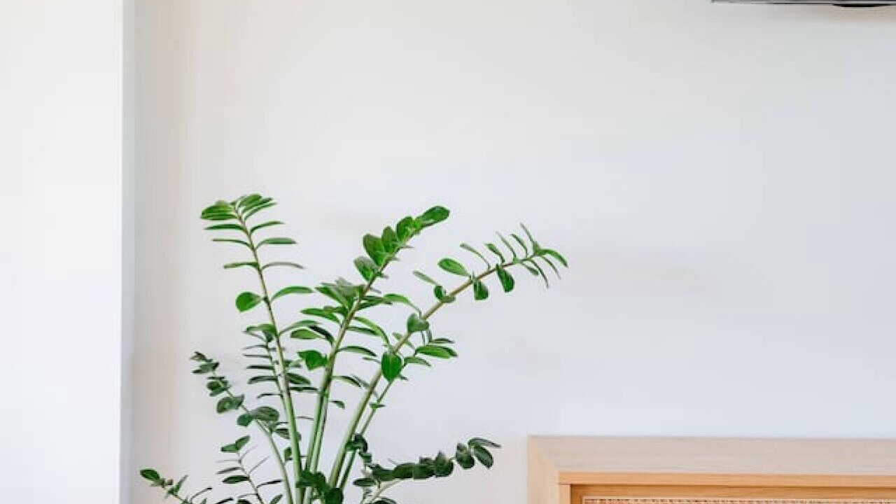 Photo of Others in Goolwa Beach