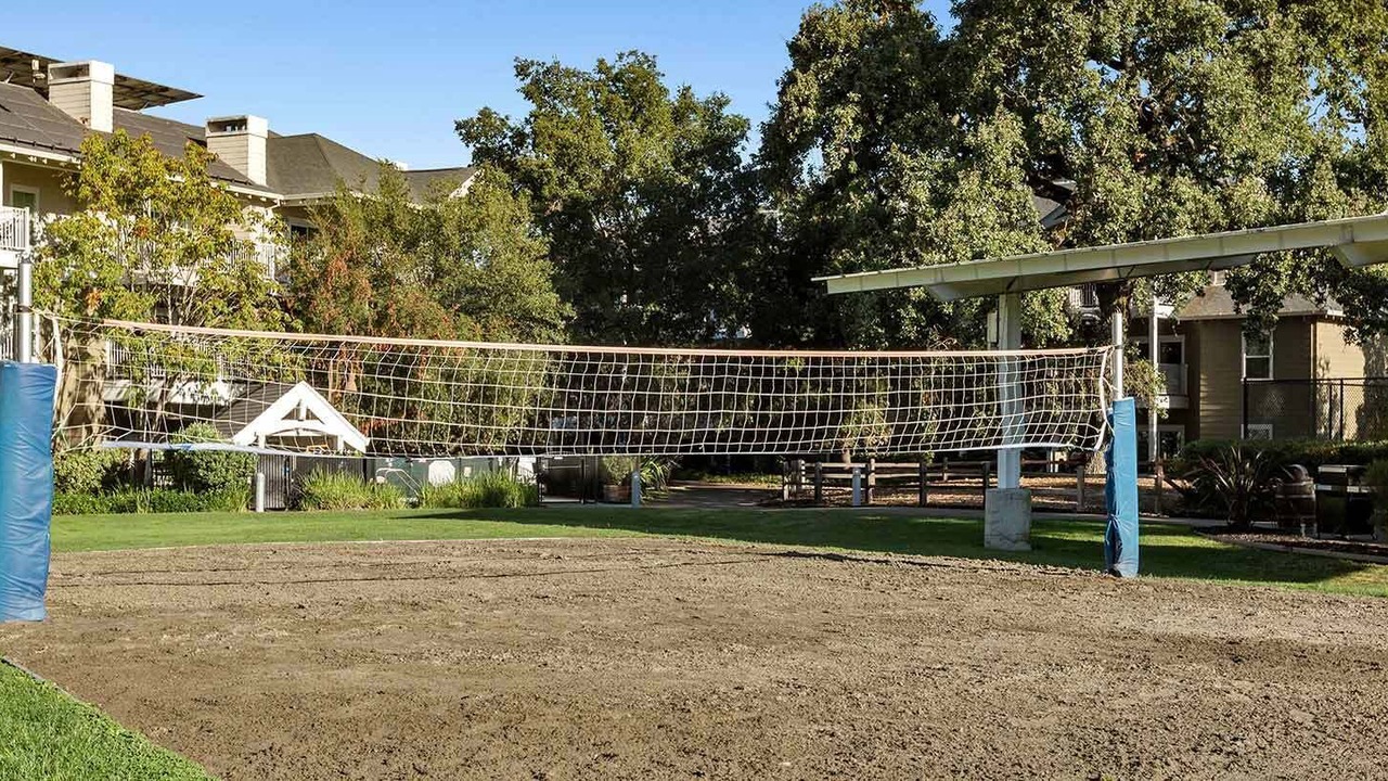 Photo of Others in Windsor