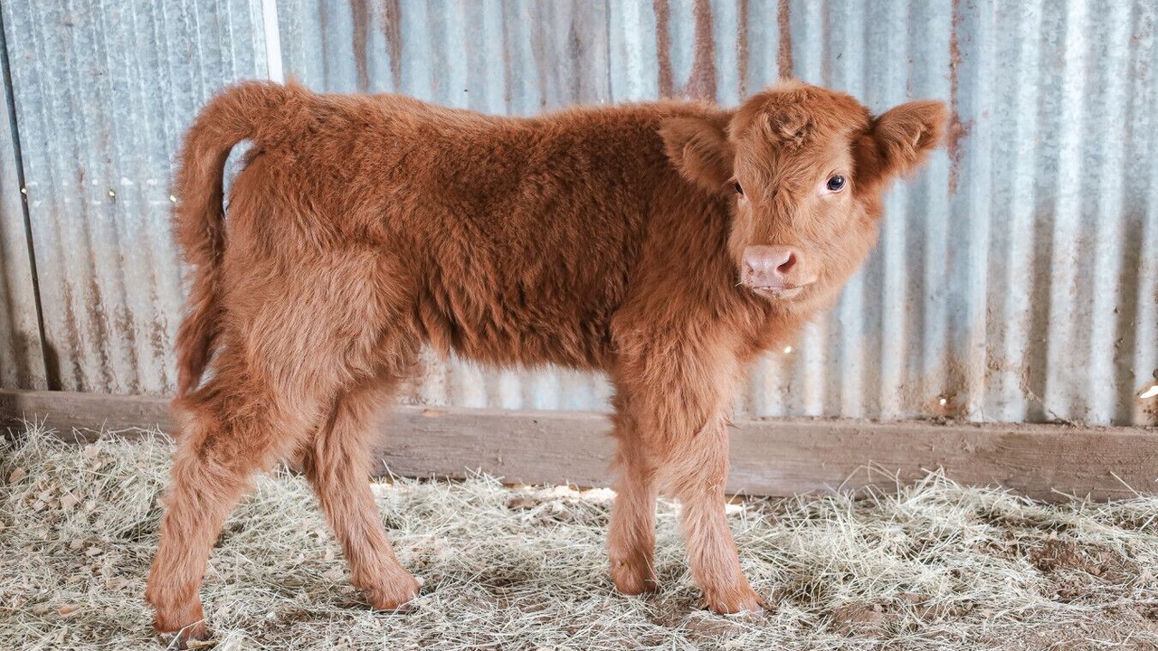 Photo of Others in Fort Worth