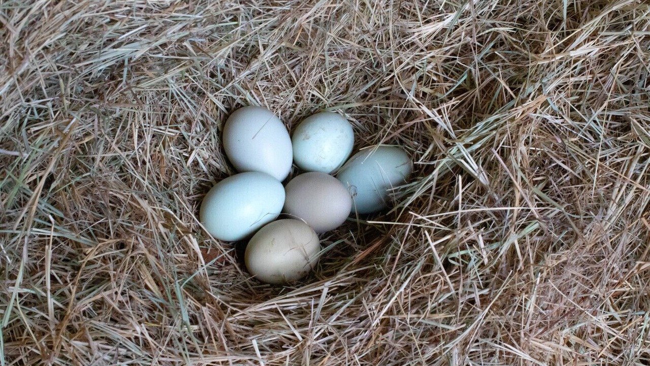 Photo of Others in Fort Worth