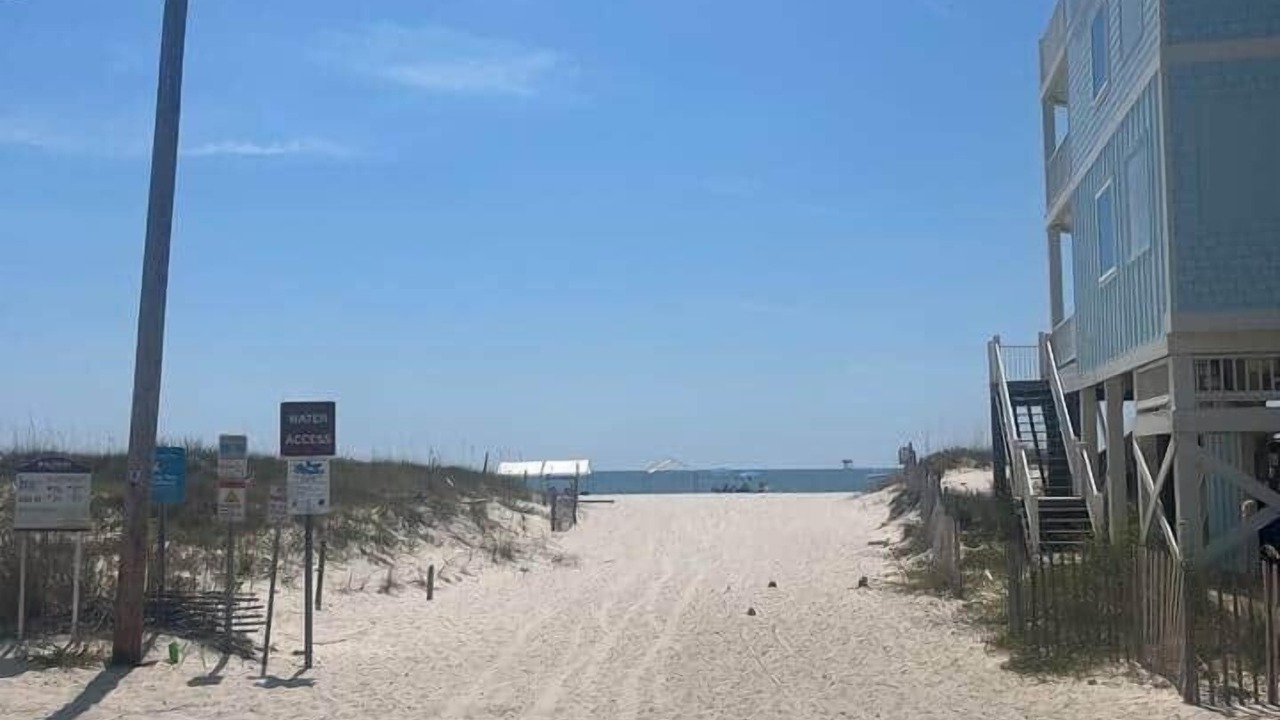 Photo of Others in Fort Morgan Pines