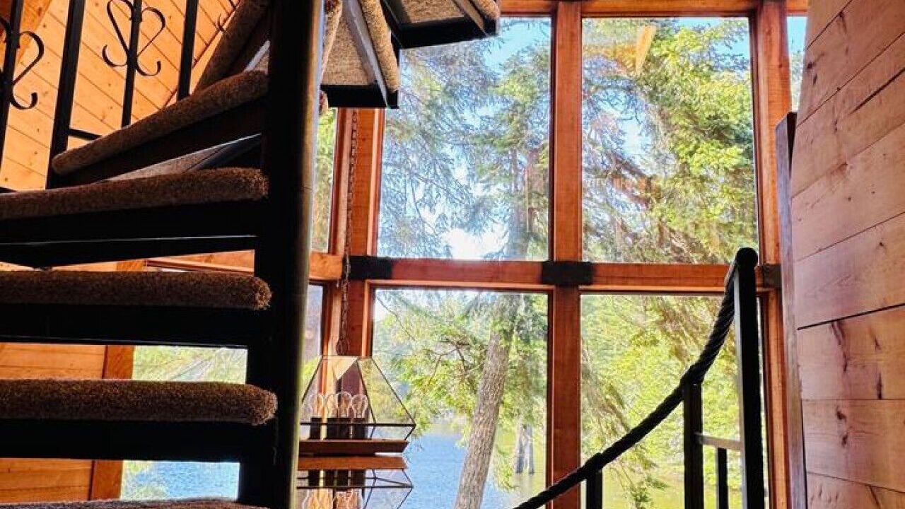 Photo of Others in Saunders Lake