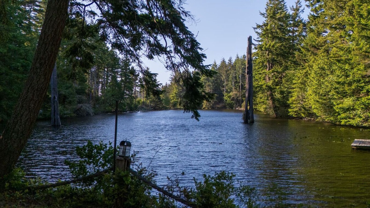 Photo of Others in Saunders Lake