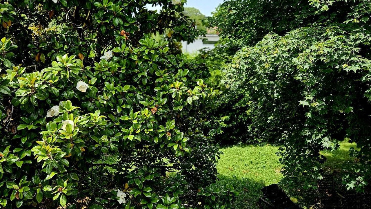 Photo of Outdoor in Chene Bourg
